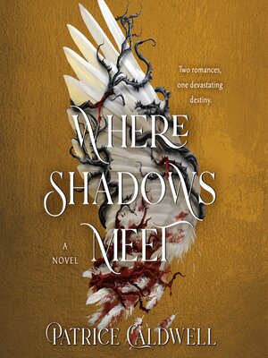 cover image of Where Shadows Meet